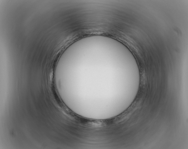 X0000113300118200909140953