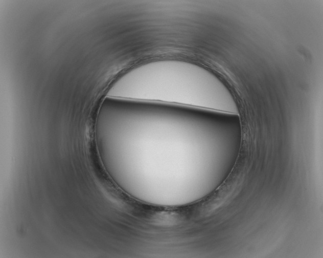 X0000113300119200909140953