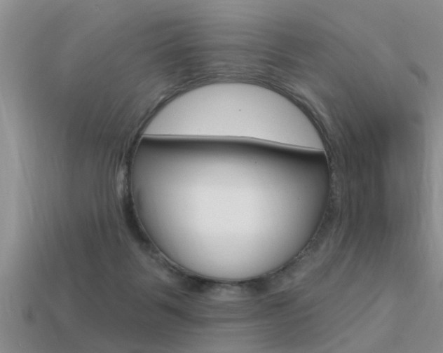 X0000113300123200909140953