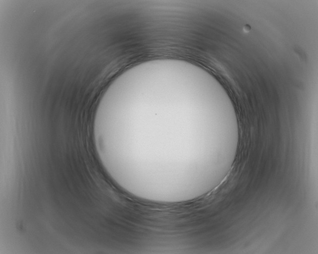 X0000113300124200909140953