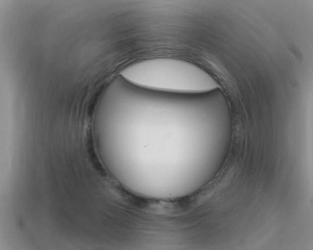 X0000113300125200909140953