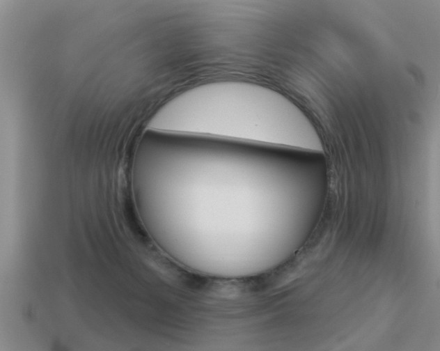 X0000113300127200909140953