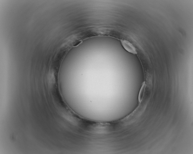 X0000113300128200909140953