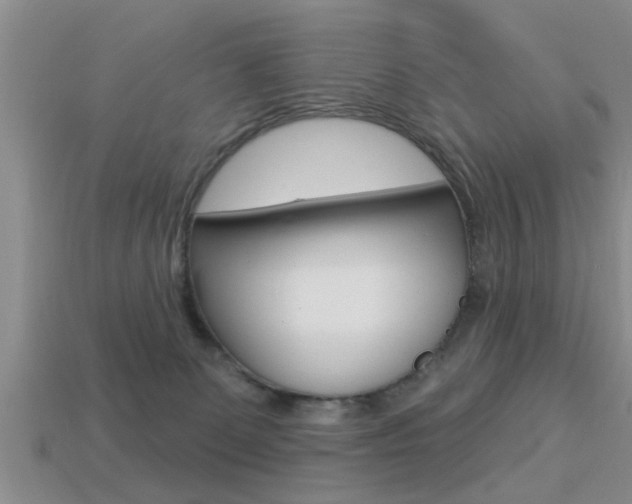 X0000113300131200909140953