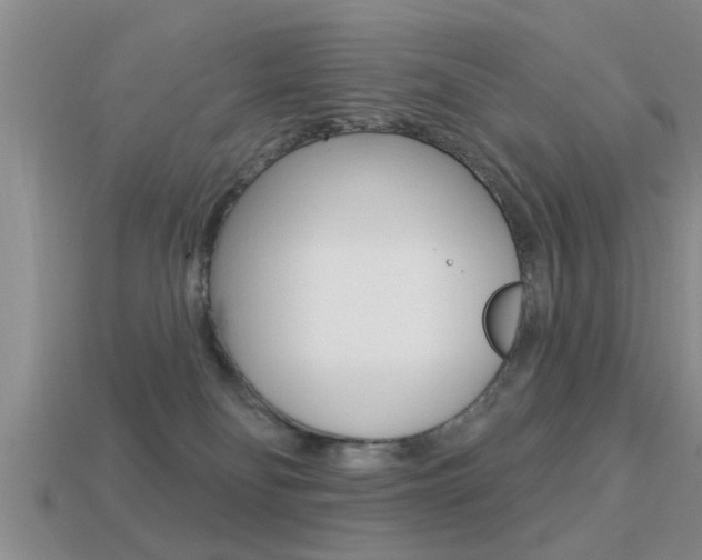 X0000113300134200909140953