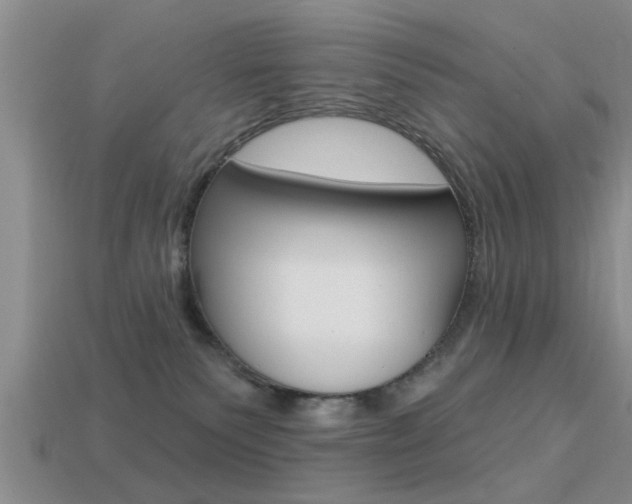 X0000113300135200909140953