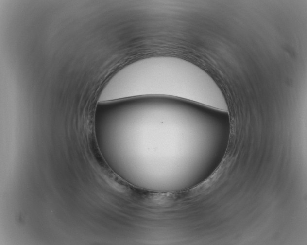 X0000113300136200909140953