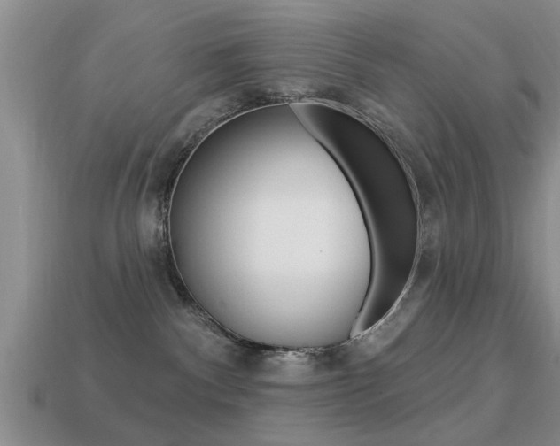 X0000113300140200909140953