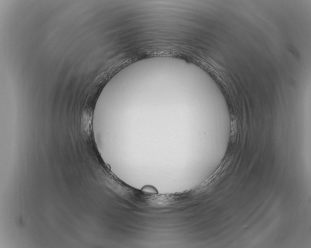 X0000113300142200909140953