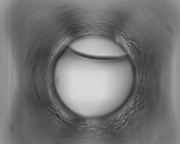 X0000113300145200909140952
