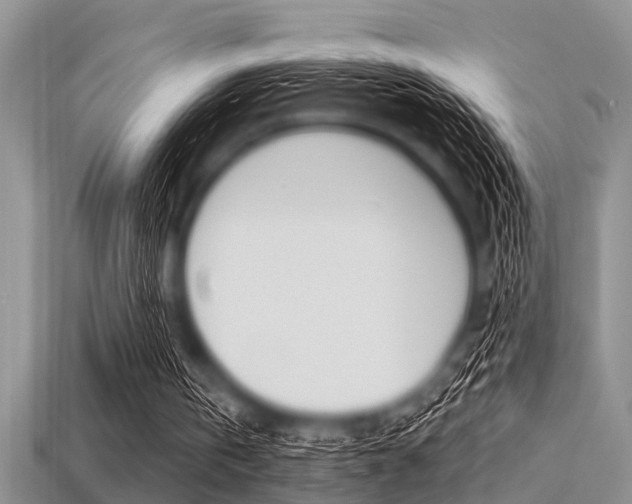 X0000113300146200909140952