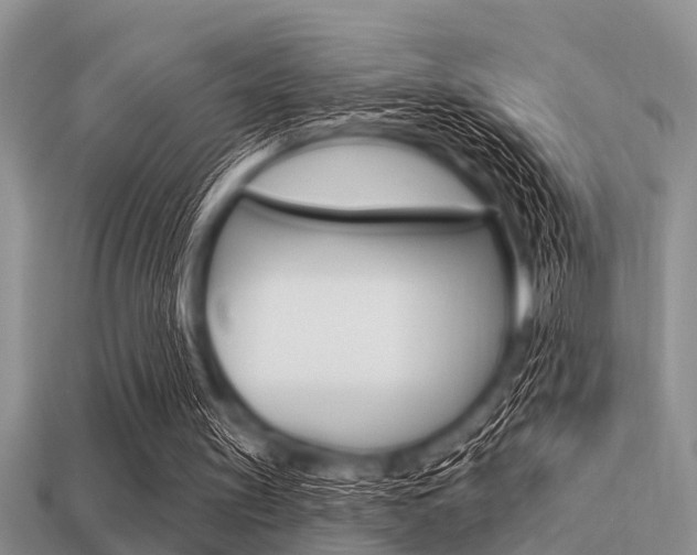 X0000113300147200909140952