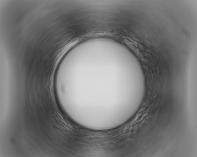 X0000113300148200909140952