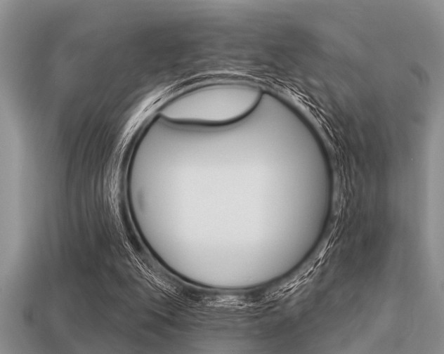X0000113300151200909140952