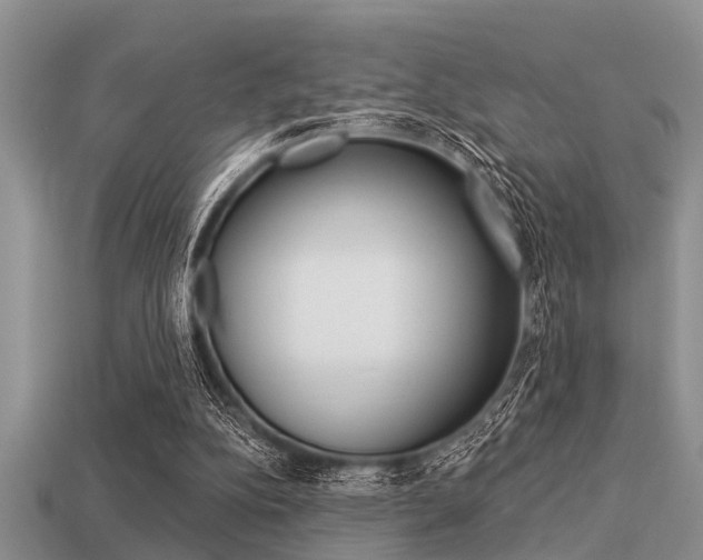 X0000113300152200909140952