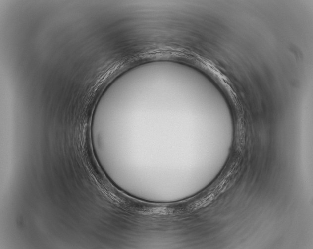 X0000113300153200909140952