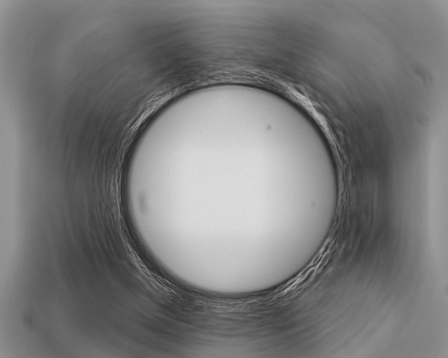X0000113300154200909140952
