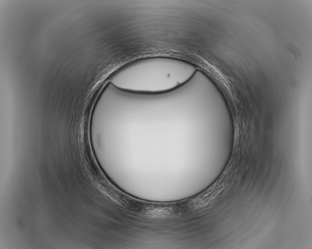 X0000113300155200909140952