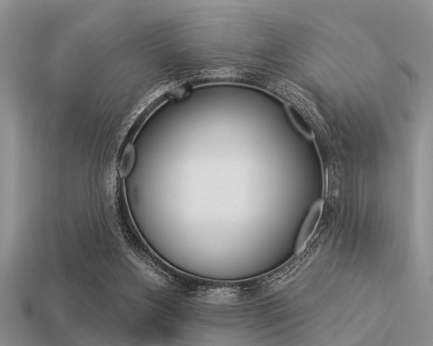 X0000113300156200909140952