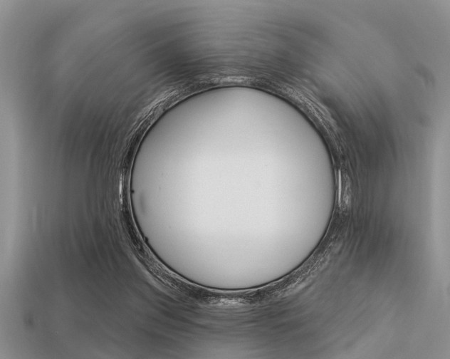 X0000113300157200909140952