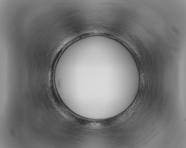 X0000113300159200909140952