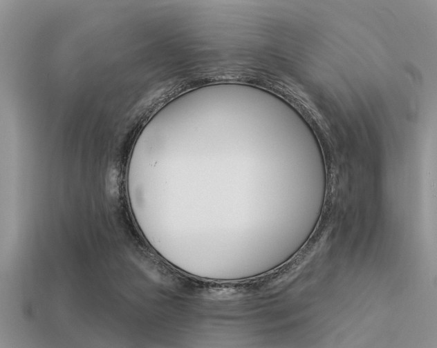 X0000113300161200909140952
