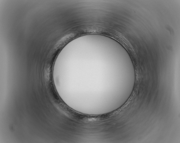 X0000113300163200909140952