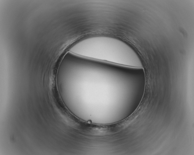 X0000113300164200909140952