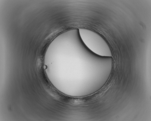 X0000113300165200909140952