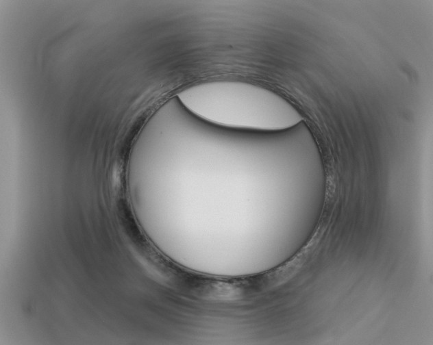X0000113300166200909140952