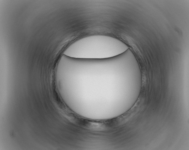 X0000113300167200909140953