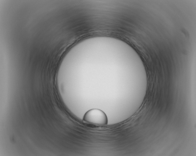 X0000113300168200909140953