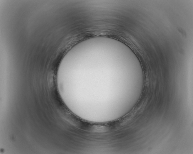X0000113300169200909140953