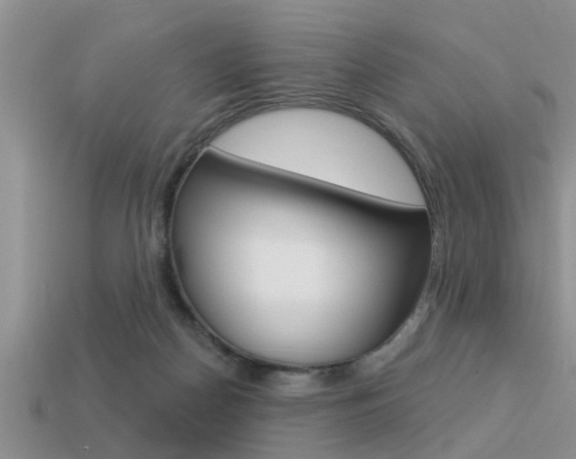 X0000113300170200909140953