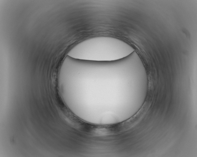 X0000113300171200909140953