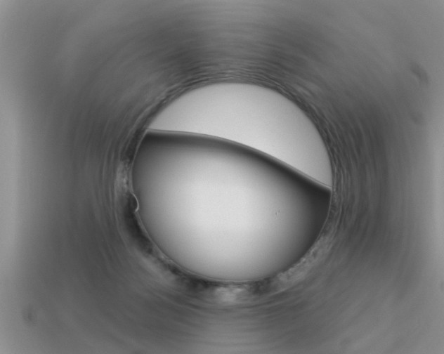 X0000113300172200909140953
