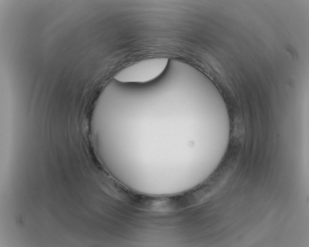 X0000113300173200909140953