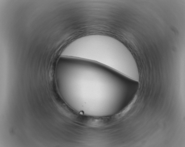 X0000113300174200909140953