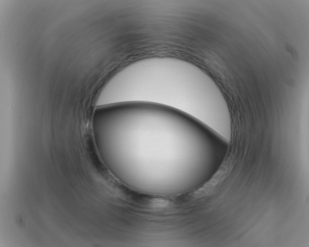 X0000113300176200909140953