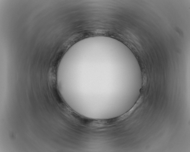 X0000113300179200909140953