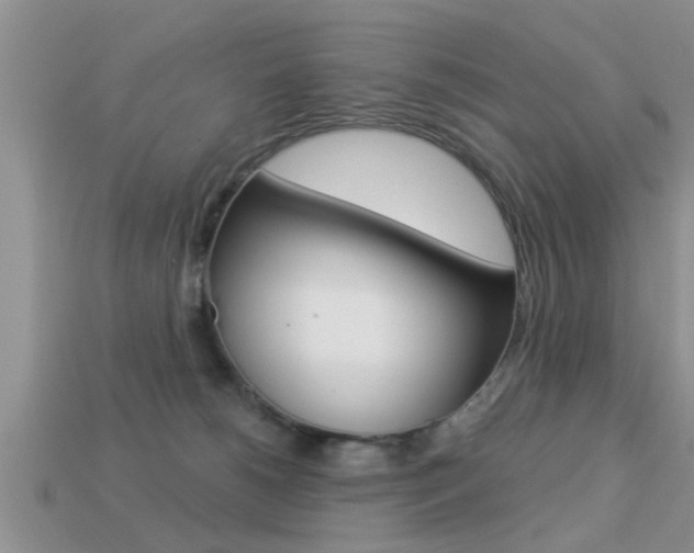 X0000113300180200909140953