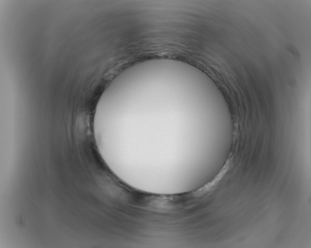 X0000113300182200909140953