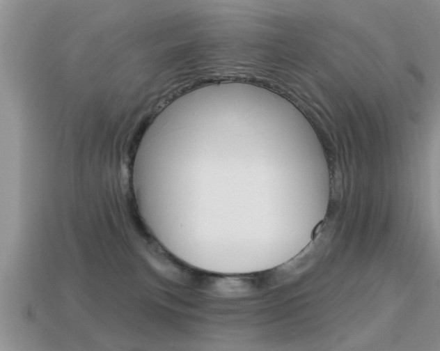 X0000113300183200909140953