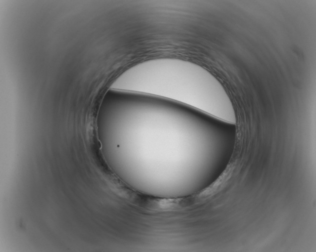 X0000113300184200909140953