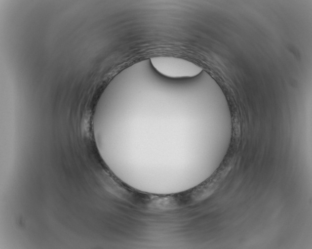 X0000113300185200909140953