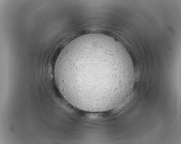 X0000113300187200909140953