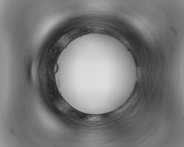 X0000113300189200909140953