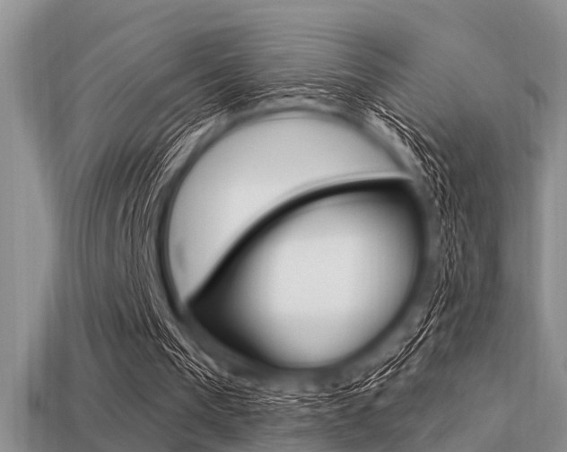 X0000113300193200909140952