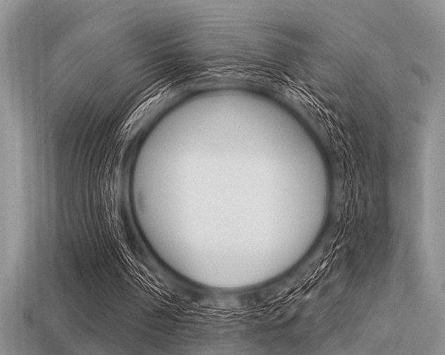 X0000113300194200909140952