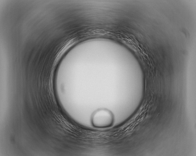 X0000113300195200909140952